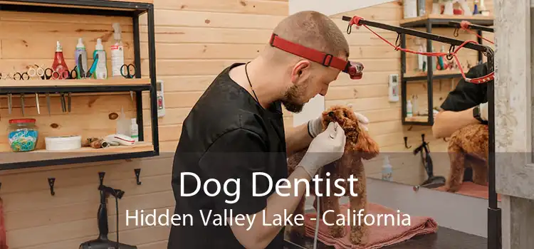 Dog Dentist Hidden Valley Lake - California