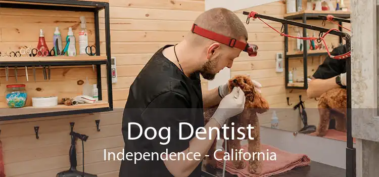 Dog Dentist Independence - California