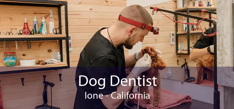 Dog Dentist Ione - California