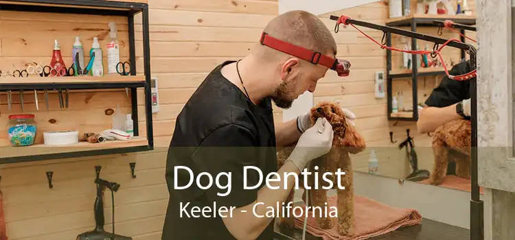 Dog Dentist Keeler - California