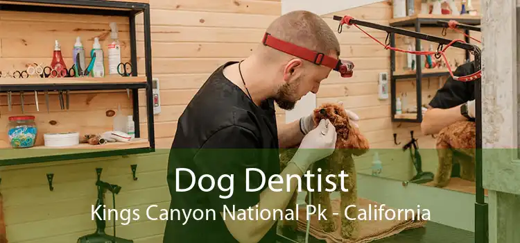 Dog Dentist Kings Canyon National Pk - California