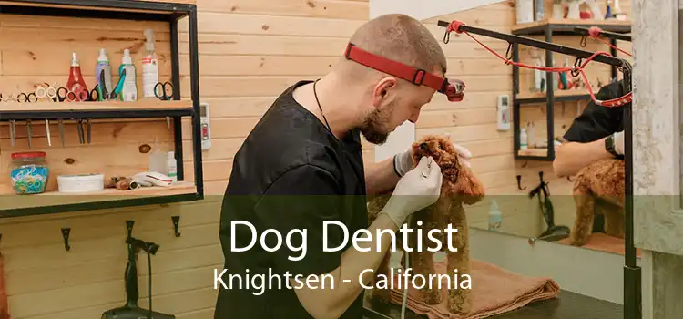 Dog Dentist Knightsen - California