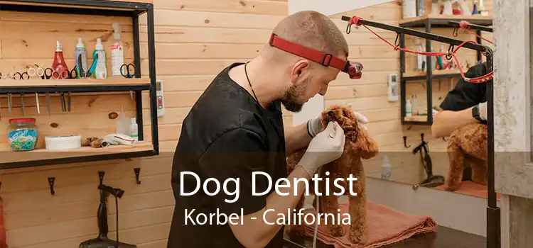 Dog Dentist Korbel - California