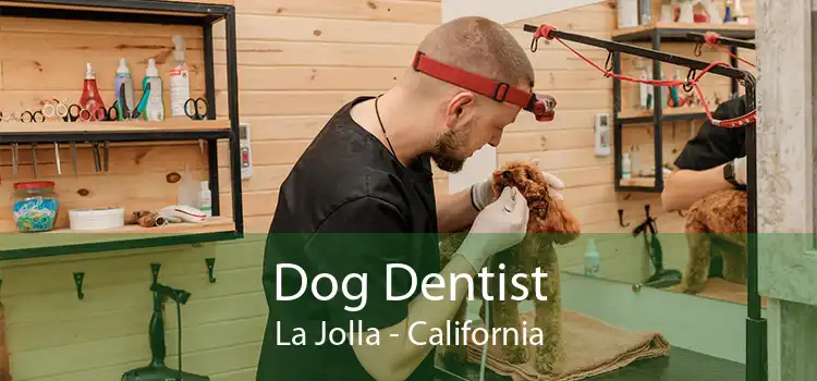 Dog Dentist La Jolla - California