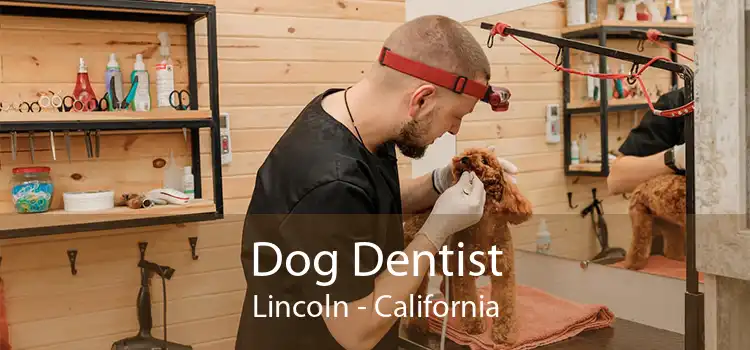 Dog Dentist Lincoln - California