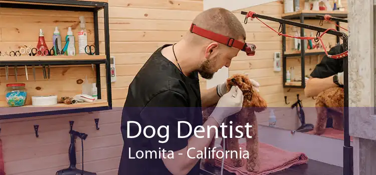 Dog Dentist Lomita - California