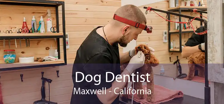 Dog Dentist Maxwell - California