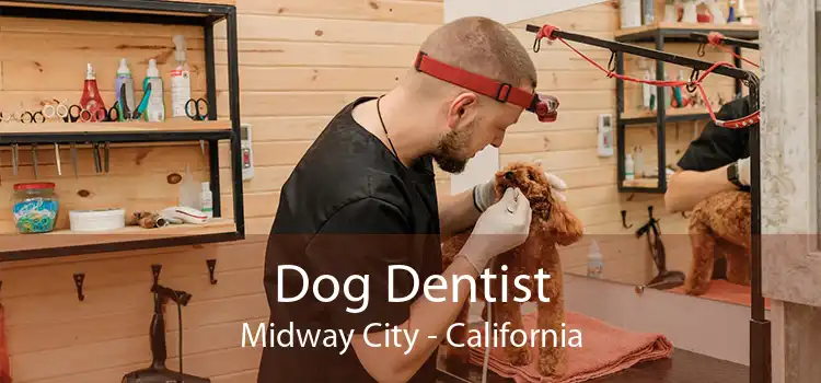 Dog Dentist Midway City - California