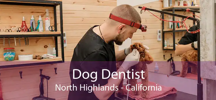 Dog Dentist North Highlands - California