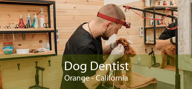 Dog Dentist Orange - California