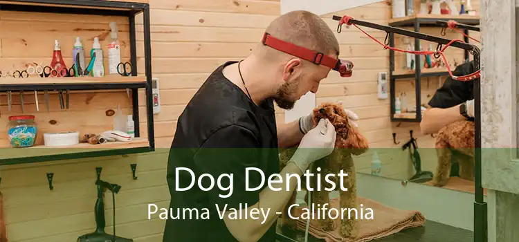 Dog Dentist Pauma Valley - California