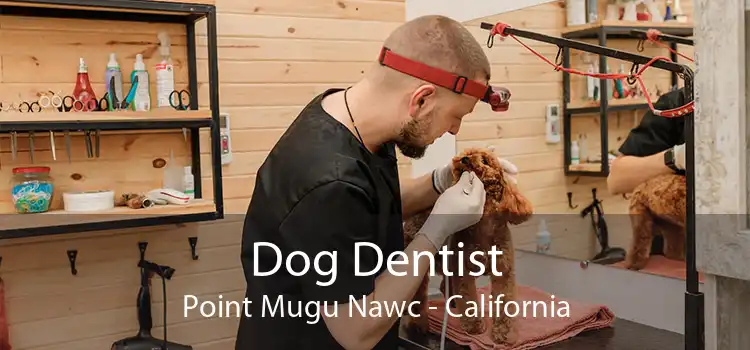 Dog Dentist Point Mugu Nawc - California