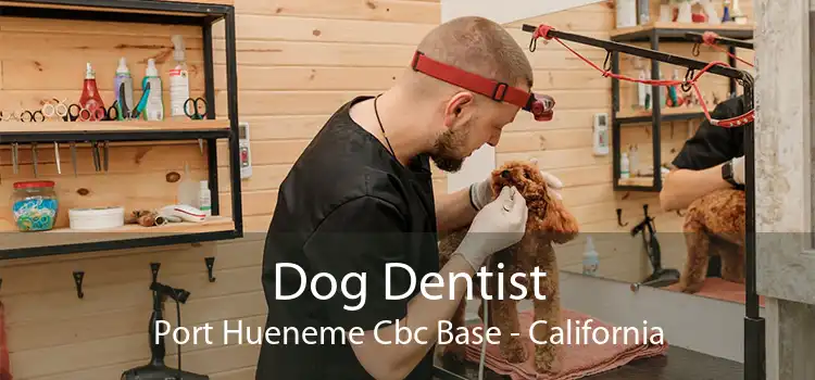 Dog Dentist Port Hueneme Cbc Base - California