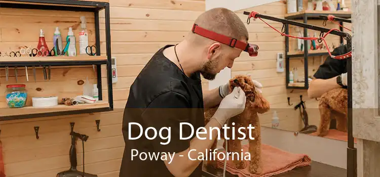 Dog Dentist Poway - California