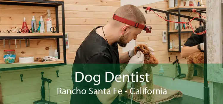 Dog Dentist Rancho Santa Fe - California