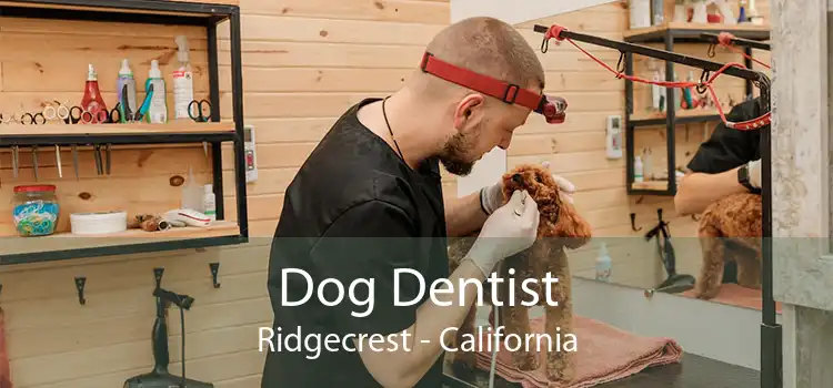 Dog Dentist Ridgecrest - California