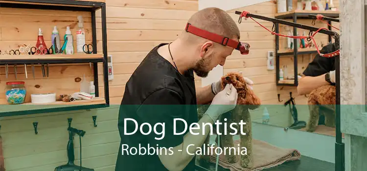 Dog Dentist Robbins - California