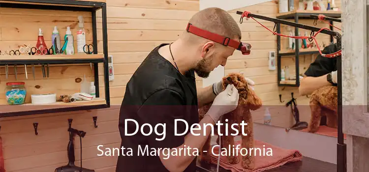 Dog Dentist Santa Margarita - California