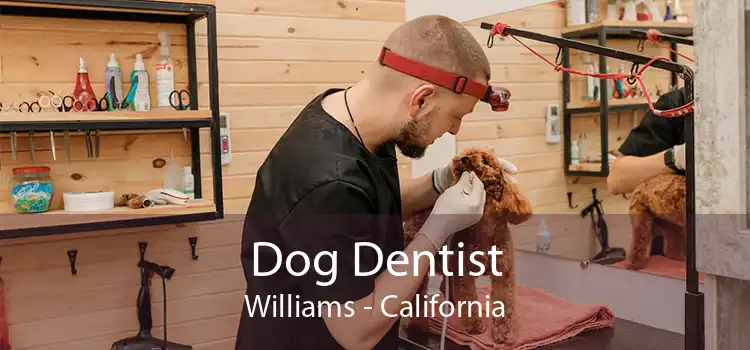 Dog Dentist Williams - California