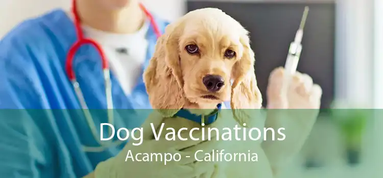 Dog Vaccinations Acampo - California