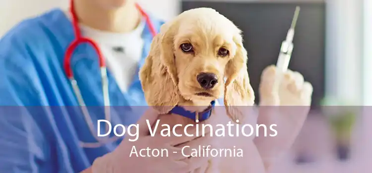 Dog Vaccinations Acton - California