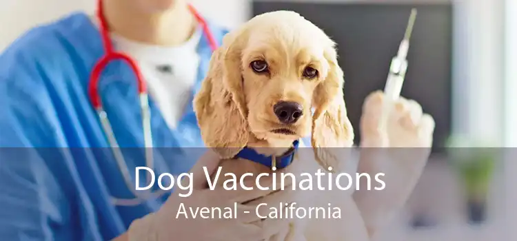 Dog Vaccinations Avenal - California