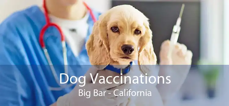 Dog Vaccinations Big Bar - California