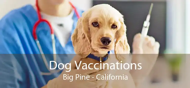 Dog Vaccinations Big Pine - California