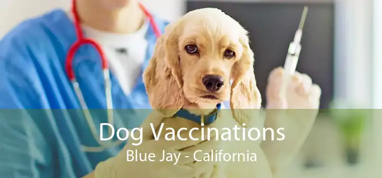 Dog Vaccinations Blue Jay - California