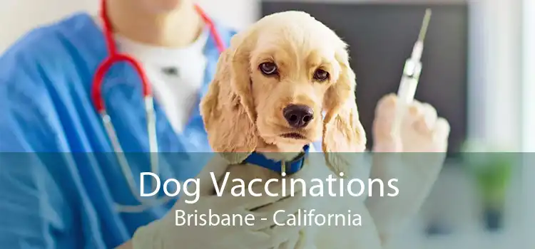 Dog Vaccinations Brisbane - California