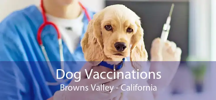 Dog Vaccinations Browns Valley - California