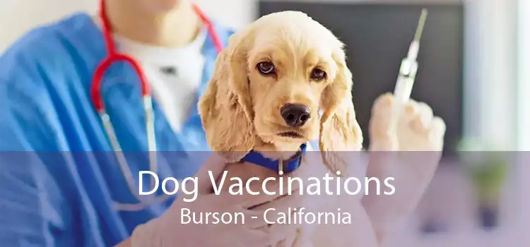 Dog Vaccinations Burson - California