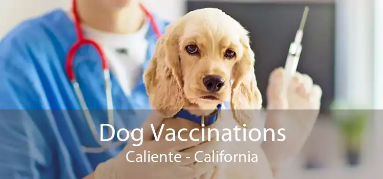 Dog Vaccinations Caliente - California