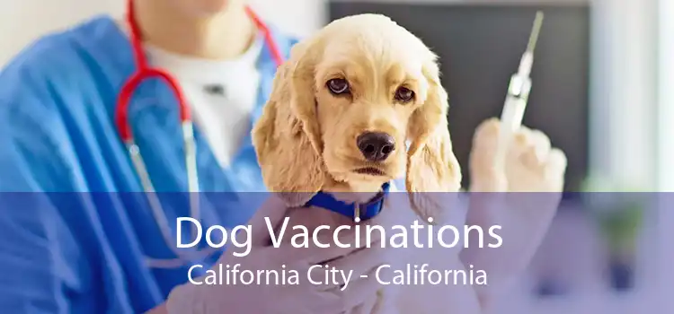 Dog Vaccinations California City - California