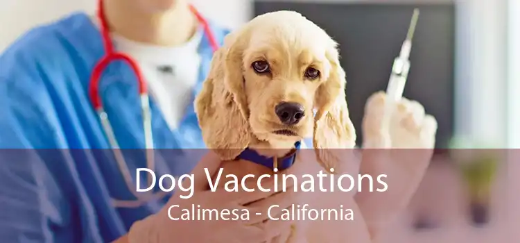 Dog Vaccinations Calimesa - California