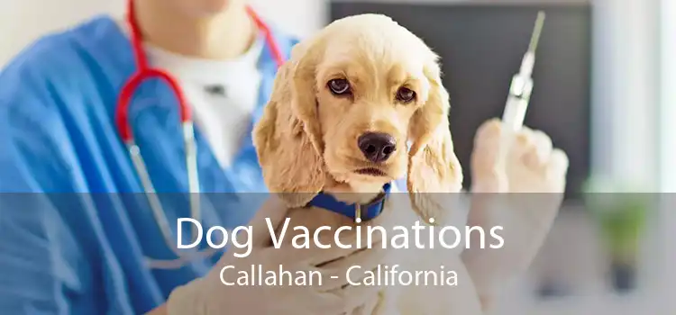 Dog Vaccinations Callahan - California