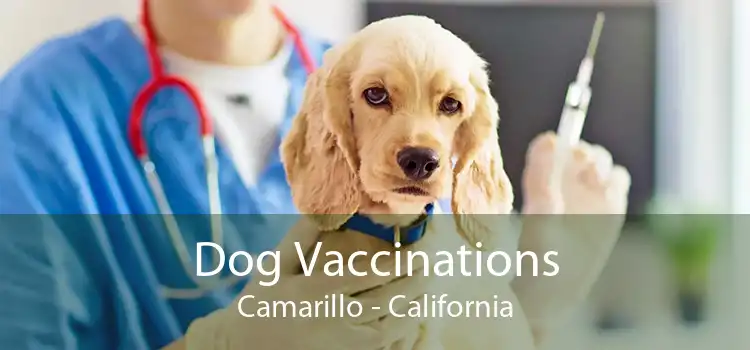 Dog Vaccinations Camarillo - California