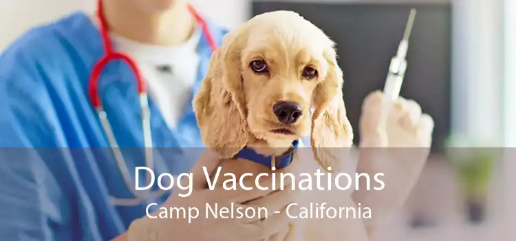 Dog Vaccinations Camp Nelson - California