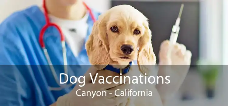 Dog Vaccinations Canyon - California