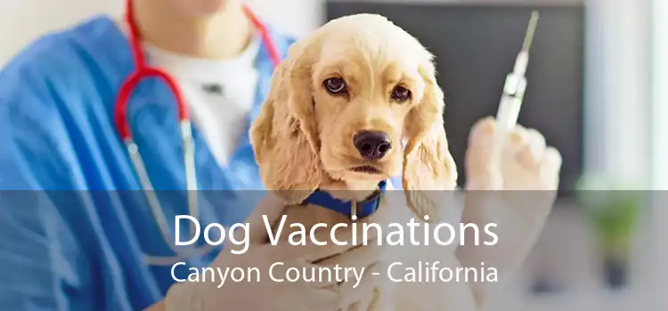 Dog Vaccinations Canyon Country - California