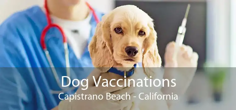 Dog Vaccinations Capistrano Beach - California