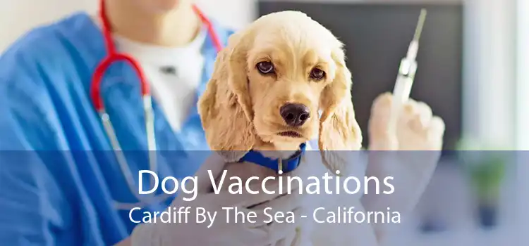 Dog Vaccinations Cardiff By The Sea - California