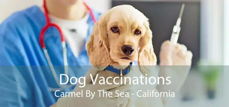 Dog Vaccinations Carmel By The Sea - California