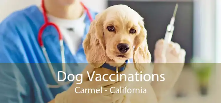 Dog Vaccinations Carmel - California