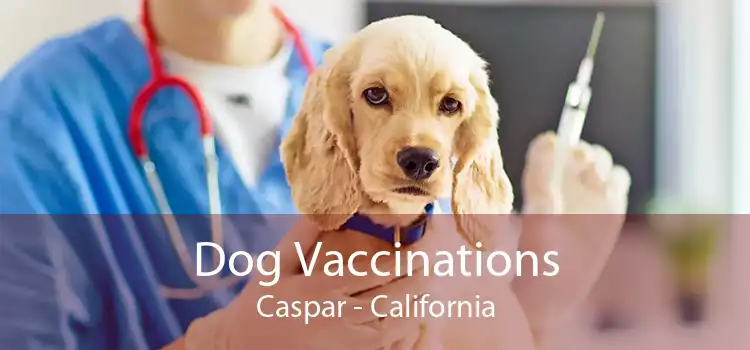 Dog Vaccinations Caspar - California