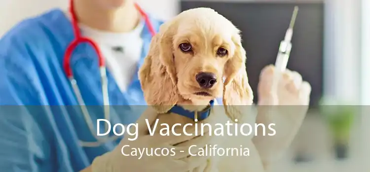 Dog Vaccinations Cayucos - California