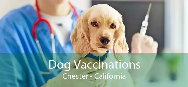 Dog Vaccinations Chester - California