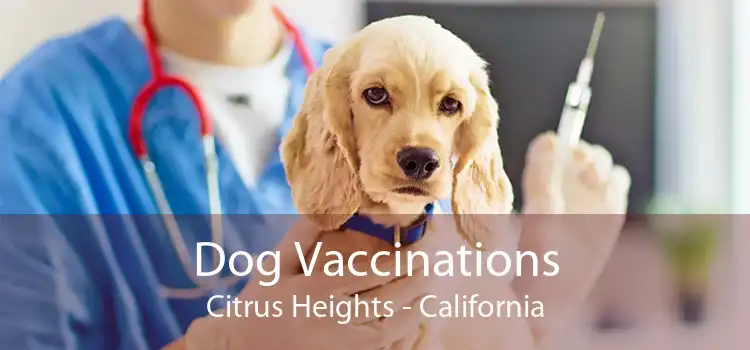 Dog Vaccinations Citrus Heights - California