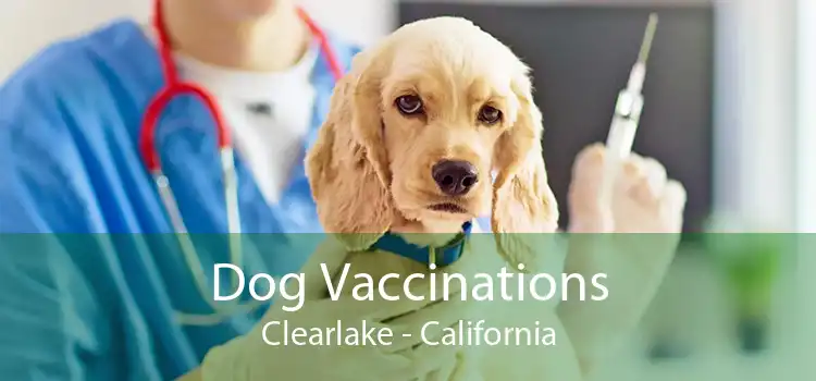 Dog Vaccinations Clearlake - California