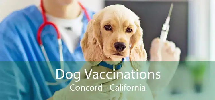 Dog Vaccinations Concord - California